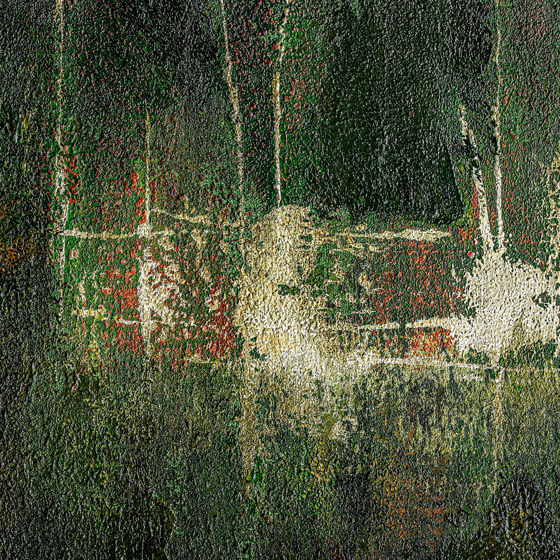 ALERCE CANVAS